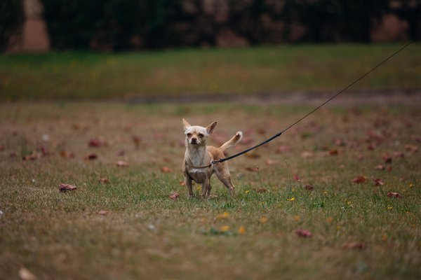 How Can the UK Business Sector Innovate to Stay Competitive Globally?